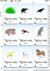 Setzleiste_animals 03.pdf